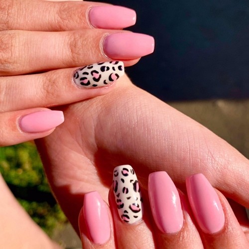 medium length pink leopard print coffin nails on light pink background