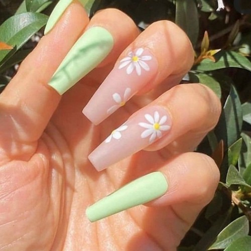 long acrylic coffin nails with light green and light pink backround and white daisy flowers